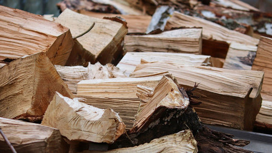Types of Wood: Choosing the Ideal for Your Woodworking Project
